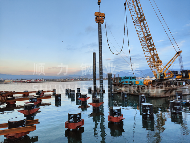 Tumutulong si Shunli na mapalakas ang matatag na pag-unlad ng multi-purpose terminal project ng Hong Kong, China Merchants Port Holdings sa Ensenada, Mexico.